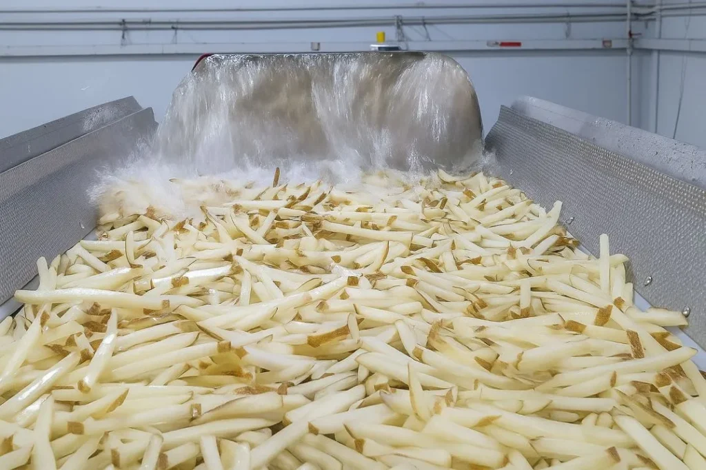 frozen french fries manufacturer