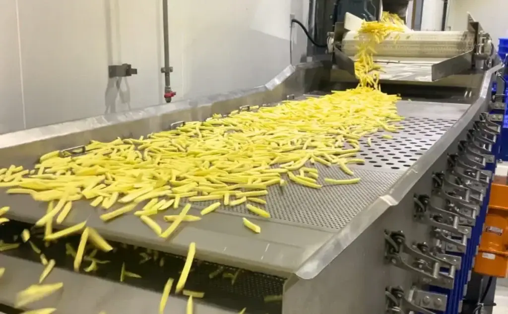 Frozen French Fries Manufacturers